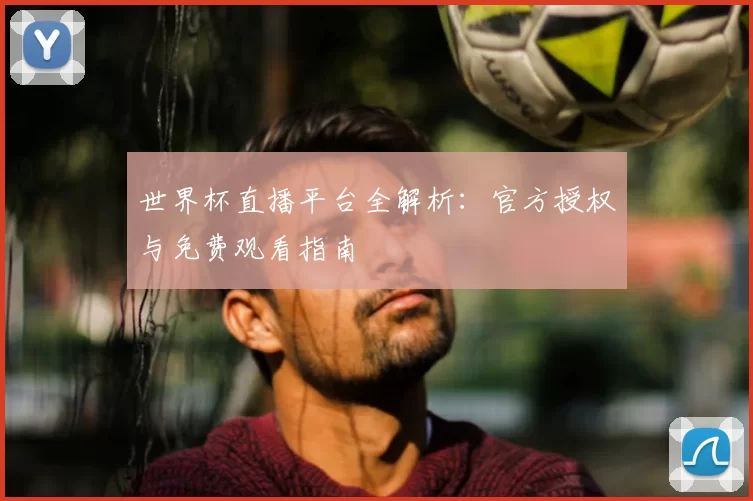 世界杯直播平台全解析:官方授权与免费观看指南