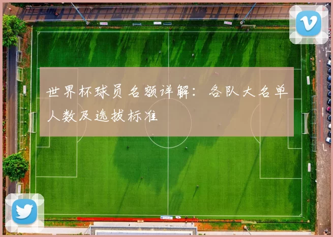 世界杯球员名额详解:各队大名单人数及选拔标准