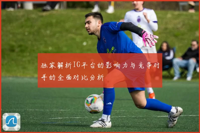 独家解析IG平台的影响力与竞争对手的全面对比分析