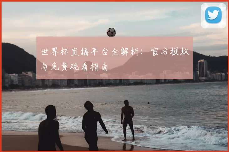 世界杯直播平台全解析:官方授权与免费观看指南