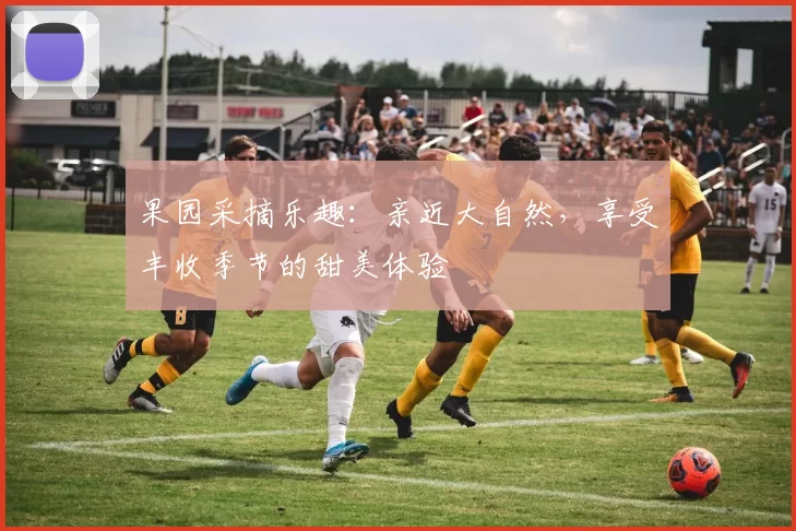 果园采摘乐趣:亲近大自然,享受丰收季节的甜美体验