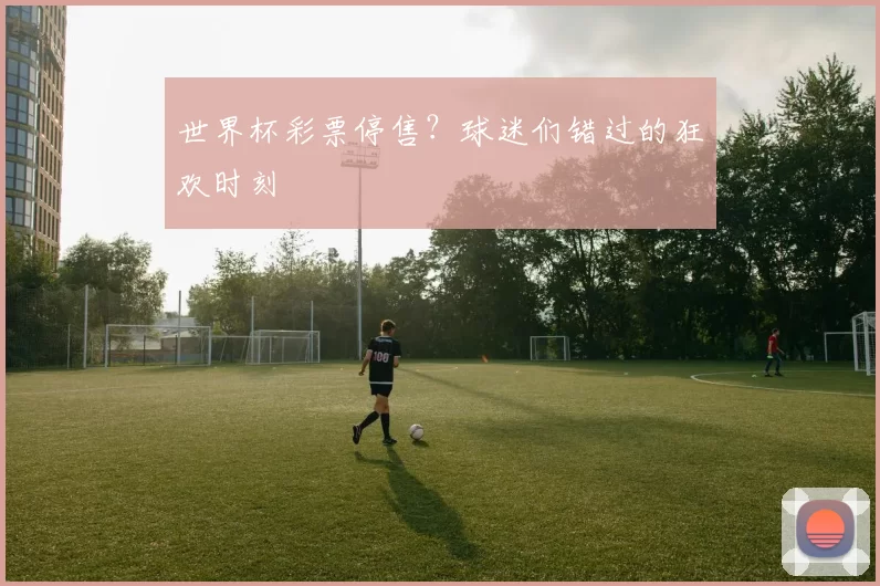 世界杯彩票停售?球迷们错过的狂欢时刻