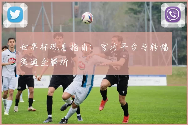 世界杯观看指南:官方平台与转播渠道全解析