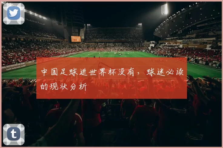 中国足球进世界杯没有，球迷必读的现状分析