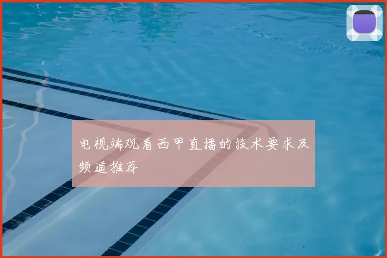 电视端观看西甲直播的技术要求及频道推荐