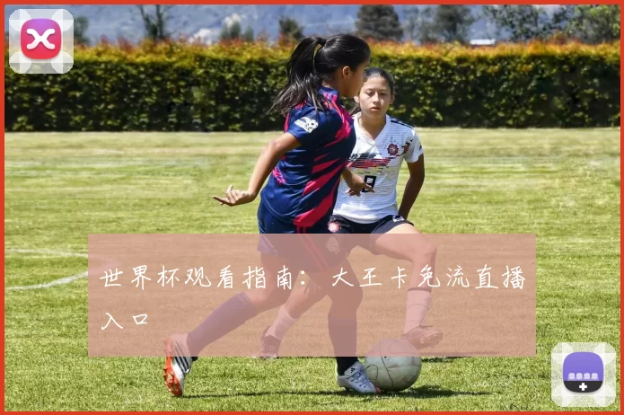 世界杯观看指南：大王卡免流直播入口