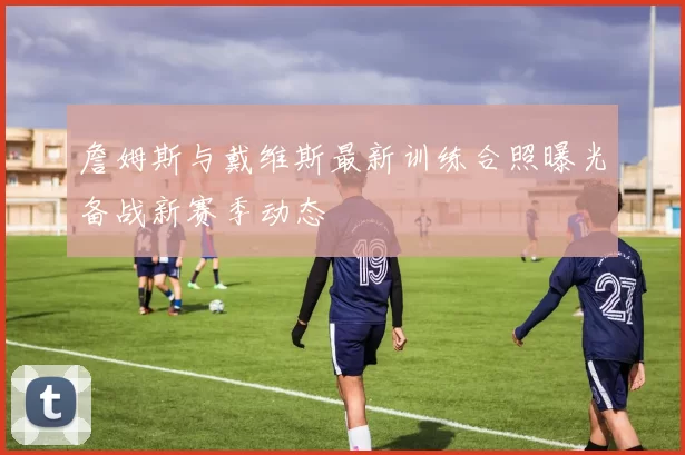 詹姆斯与戴维斯最新训练合照曝光备战新赛季动态