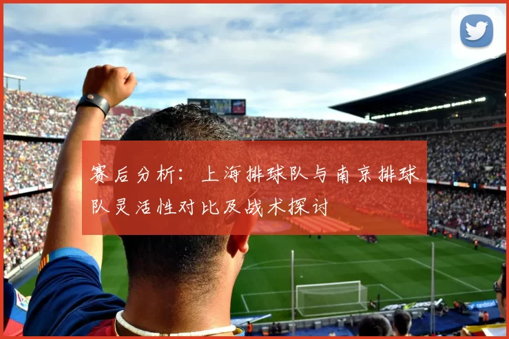赛后分析:上海排球队与南京排球队灵活性对比及战术探讨