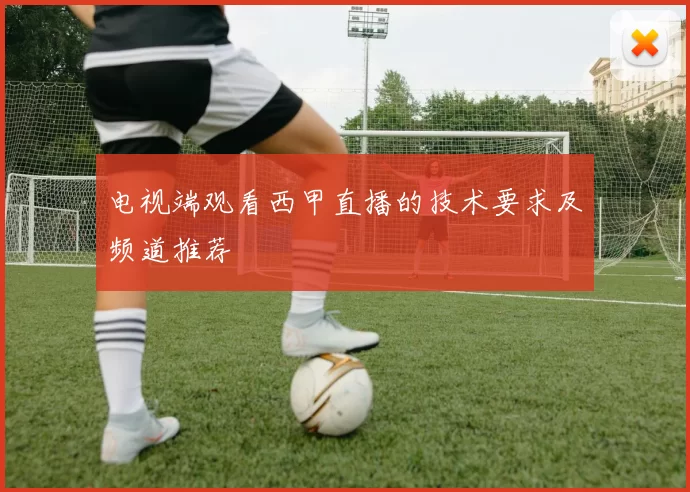 电视端观看西甲直播的技术要求及频道推荐