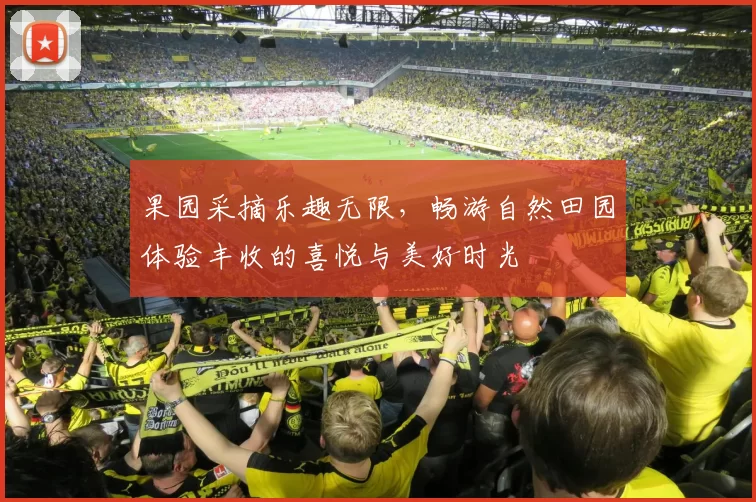 果园采摘乐趣无限,畅游自然田园体验丰收的喜悦与美好时光