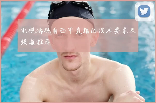 电视端观看西甲直播的技术要求及频道推荐