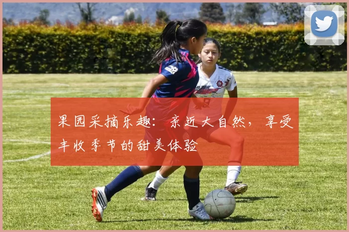 果园采摘乐趣：亲近大自然，享受丰收季节的甜美体验