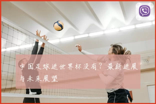 中国足球进世界杯没有?最新进展与未来展望