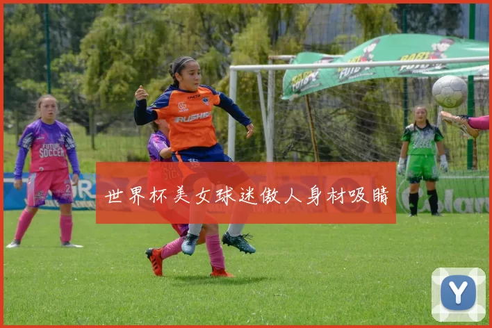 世界杯美女球迷傲人身材吸睛
