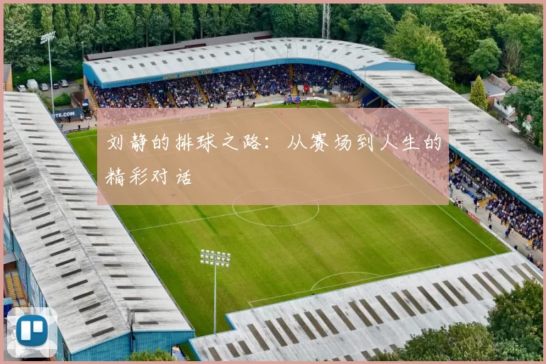 刘静的排球之路:从赛场到人生的精彩对话