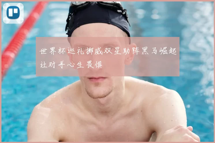 世界杯巡礼挪威双星助阵黑马崛起让对手心生畏惧