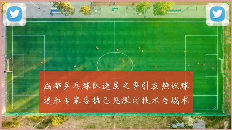 成都乒乓球队速度之争引发热议球迷和专家各执己见探讨技术与战术
