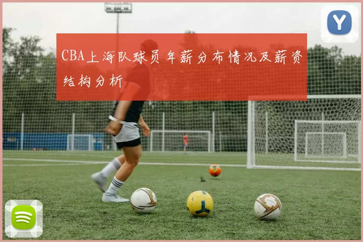 CBA上海队球员年薪分布情况及薪资结构分析